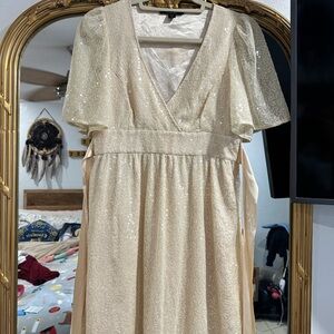 Betsey Johmain Sequin Dress